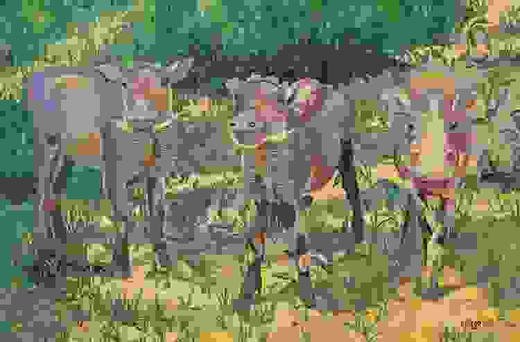 Three Little Pigs
